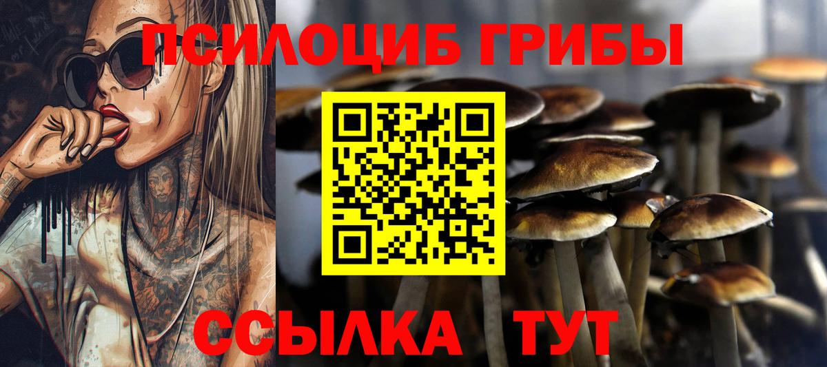 Галлюциногенные грибы мицелий  Вход с VPN  где купить наркоту  Кропоткин  Псилоцибиновые грибы Psilocybe 