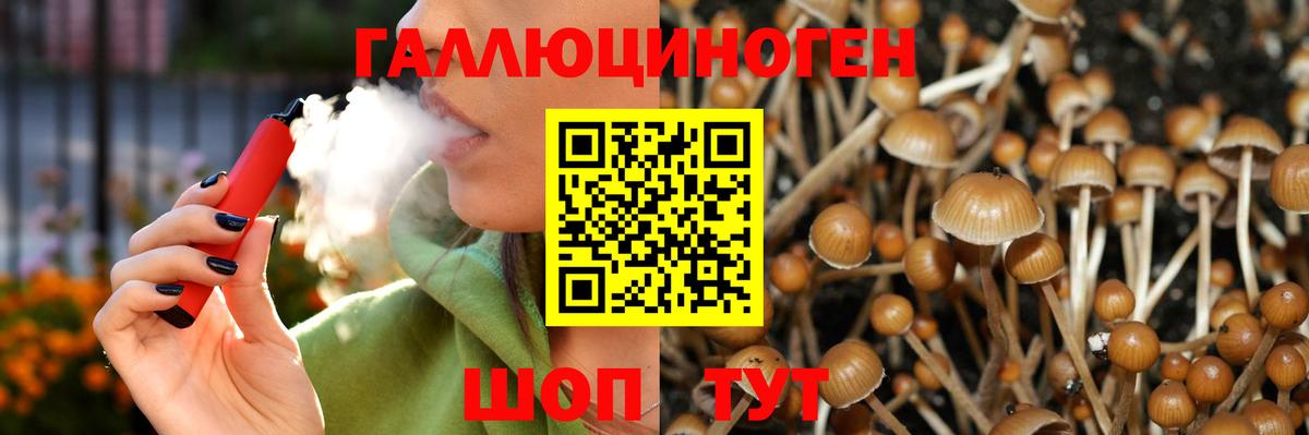 Псилоцибиновые грибы ЛСД Кропоткин